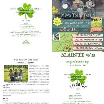 SLAINTE Vol 25  ”tricolor”