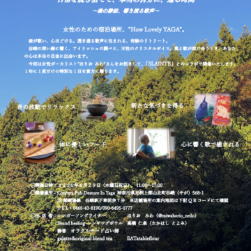 今週のパブ営業（4/21〜4/26）