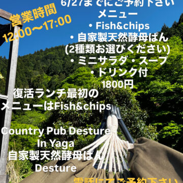 お知らせ‼️